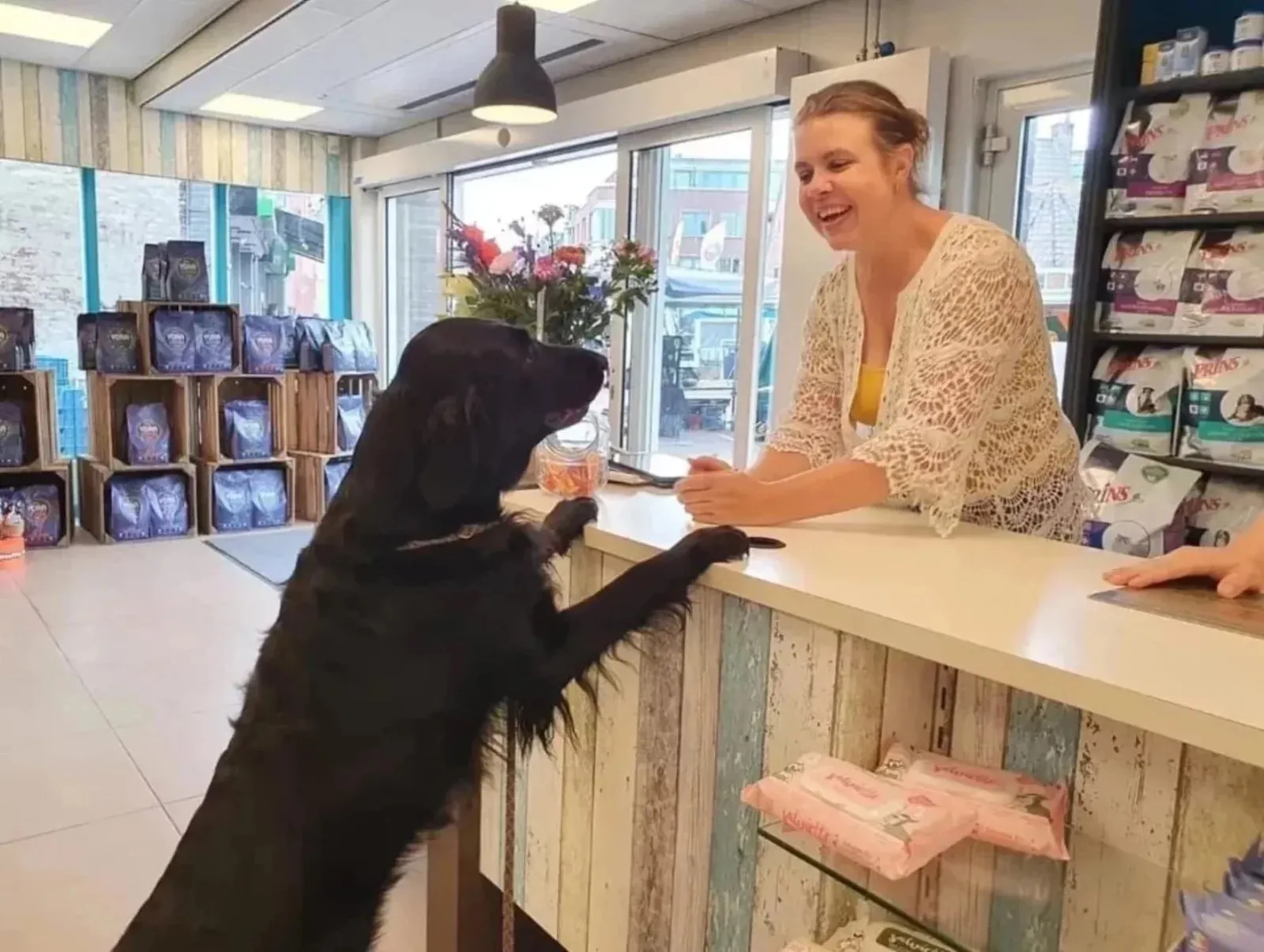 Aan de toonbank van PetsOnly! staat een zwarte hond met de voorpoten op de balie