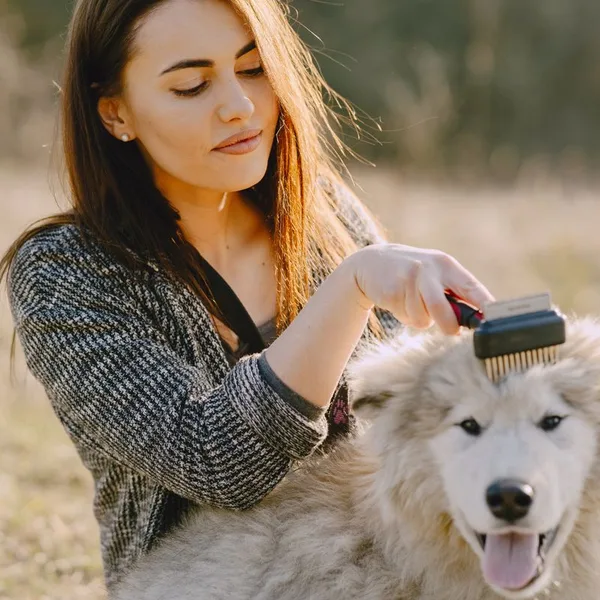 De vacht van een witte hond wordt geborsteld